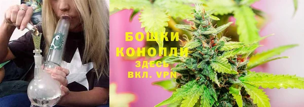 ешки Саяногорск